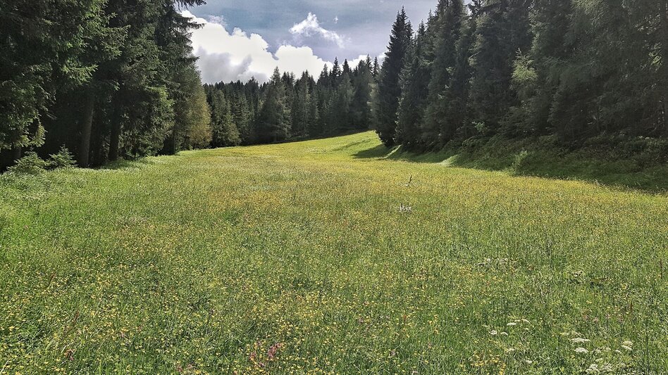 Hiking route The Hochwurzen Tour - Touren-Impression #2.13 | © Gerhard Pilz