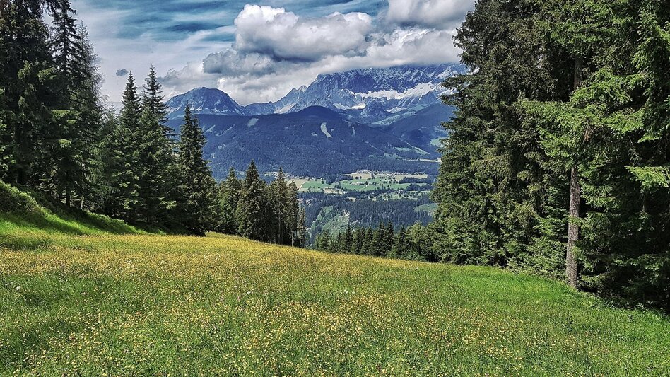 Hiking route The Hochwurzen Tour - Touren-Impression #2.14 | © Gerhard Pilz