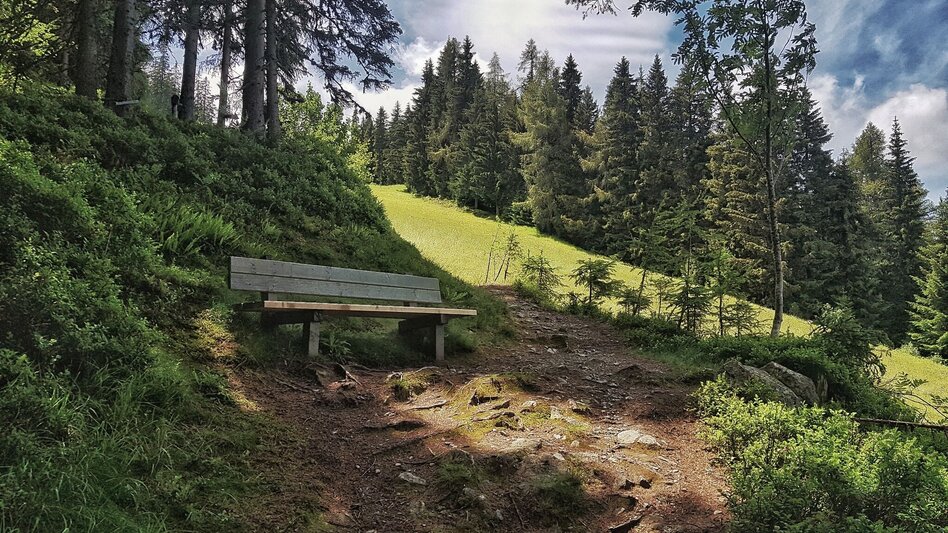 Hiking route The Hochwurzen Tour - Touren-Impression #2.15 | © Gerhard Pilz
