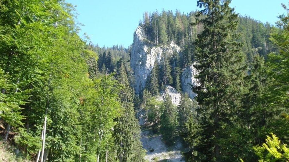 Mountain Hike Schwärzerweg/Raffelgraben - Touren-Impression #2.1 | © Gesäuse - Palfau