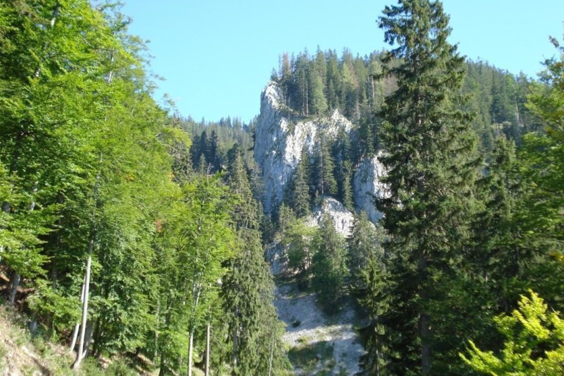 Mountain Hike Schwärzerweg/Raffelgraben - Touren-Impression #1 | © Gesäuse - Palfau