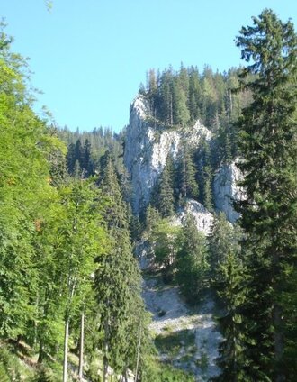 schwärzerweg/raffelgraben_img_1903426 | © Gesäuse - Palfau