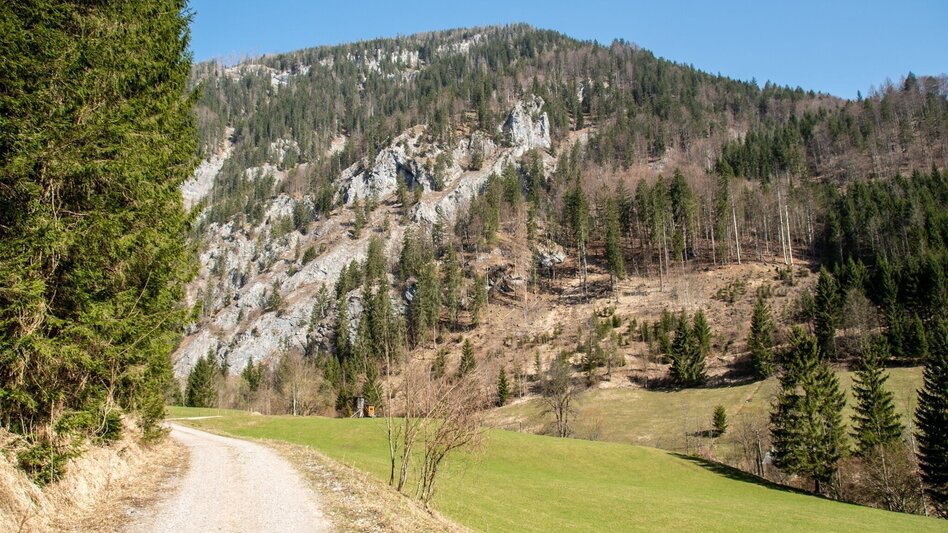 Mountain Hike Schwärzerweg/Raffelgraben - Touren-Impression #2.5 | © TV Gesäuse