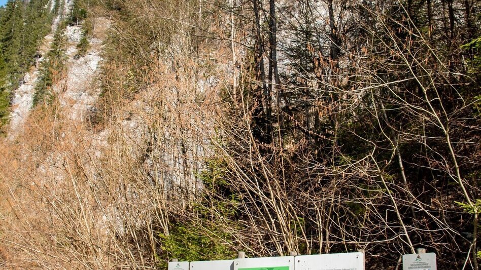 Mountain Hike Schwärzerweg/Raffelgraben - Touren-Impression #2.6 | © TV Gesäuse