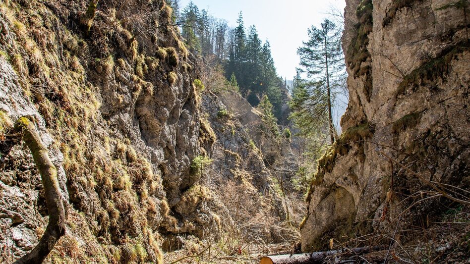 Mountain Hike Schwärzerweg/Raffelgraben - Touren-Impression #2.7 | © TV Gesäuse