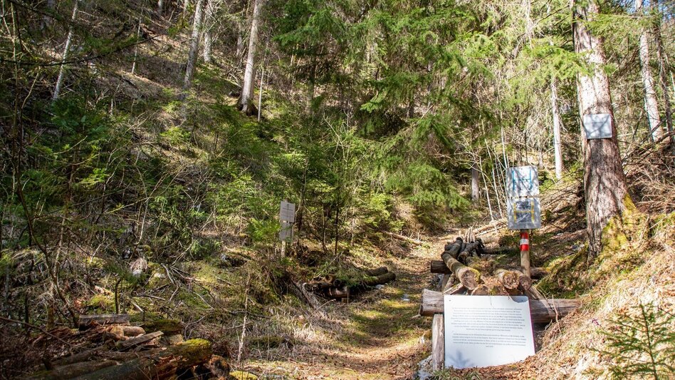Mountain Hike Schwärzerweg/Raffelgraben - Touren-Impression #2.8 | © TV Gesäuse