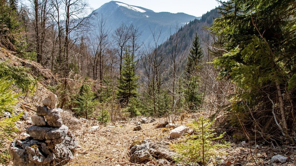 Mountain Hike Schwärzerweg/Raffelgraben - Touren-Impression #2.11 | © TV Gesäuse