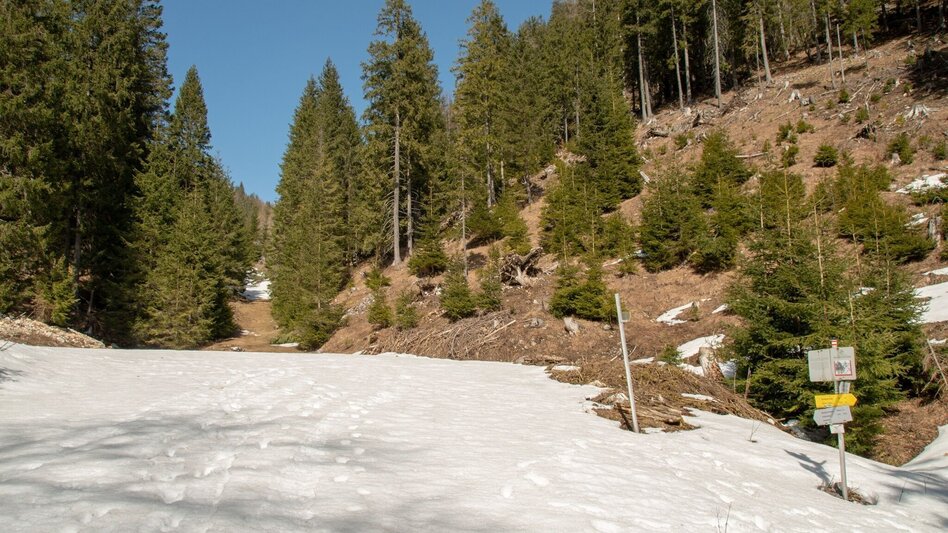 Mountain Hike Schwärzerweg/Raffelgraben - Touren-Impression #2.12 | © TV Gesäuse