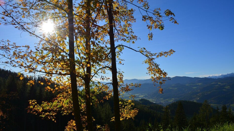 Mountain Biking K1 - Ochnerbauer Tour (Mountain Bike Route Kindberg 1) - Touren-Impression #2.3 | © Berggasthof Ochnerbauer