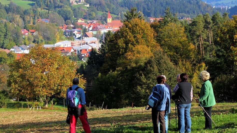 Wanderung Ligister Schmankerlweg - Touren-Impression #2.1 | © TVB Ligist