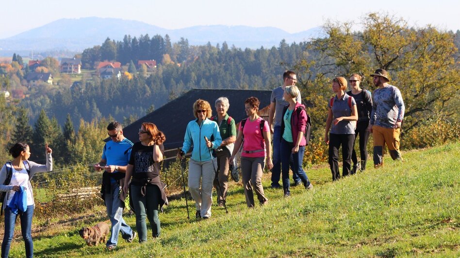 Wanderung Ligister Schmankerlweg - Touren-Impression #2.4 | © TV Ligist