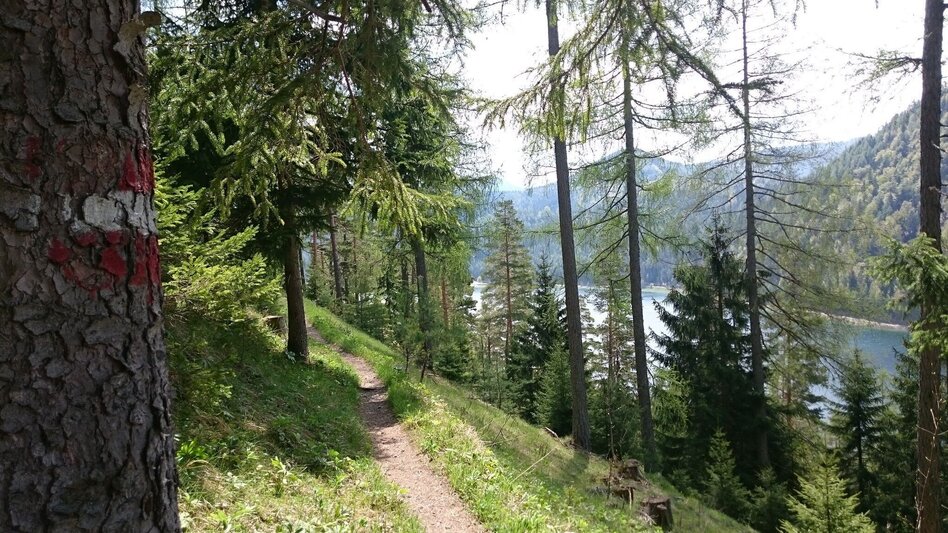 Hiking route Gemeindealpe - Touren-Impression #2.1 | © TV Hochsteiermark