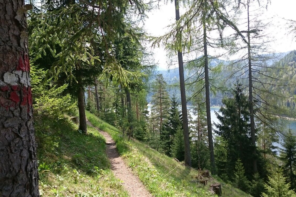 Hiking route Gemeindealpe - Touren-Impression #1 | © TV Hochsteiermark