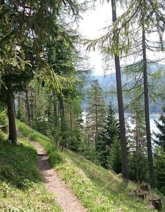 Blick zurück zum Erlaufsee | Brigitte Digruber | © TV Hochsteiermark