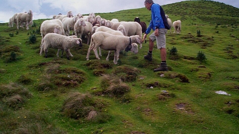 Wanderung Pleschnitzzinken - Touren-Impression #2.5 | © Erlebnisregion Schladming-Dachstein