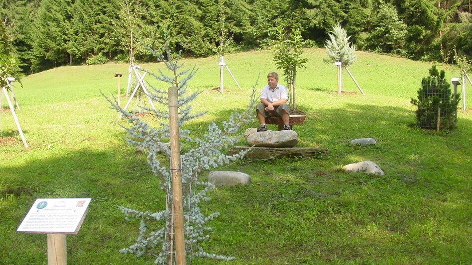 Hiking route Keltischer Baumkreis-Rundweg (S13) - Touren-Impression #2.1 | © TVB Südsteiermark/Gde Gundersdorf