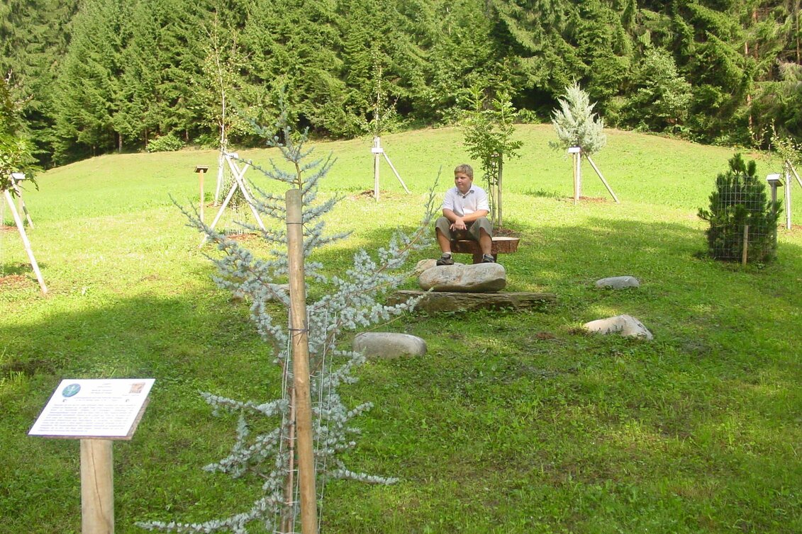 Hiking route Keltischer Baumkreis-Rundweg (S13) - Touren-Impression #1 | © TVB Südsteiermark/Gde Gundersdorf