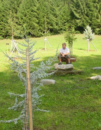 Zachgraben - Keltischer Baumkreis | Gemeinde Gundersdorf | © TVB Südsteiermark/Gde Gundersdorf