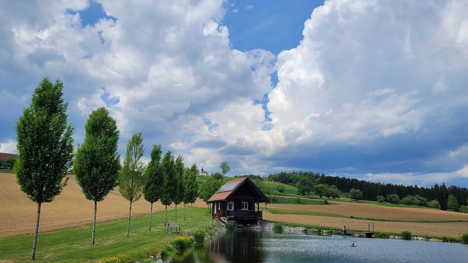 Wanderung Georgsberg Rundweg Nr. 15 - Touren-Impression #2.2 | © TVB Südsteiermark/Irene Löschnig