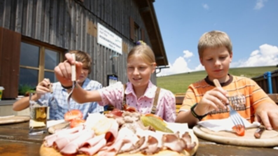 Fernwanderweg Vom Hochwechsel zum Hochschwab, Waldbach-Mönichwald - Touren-Impression #2.14 | © TV Hochsteiermark