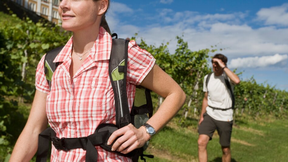 Pilgerweg Mariazeller Weg 06 - Touren-Impression #2.2 | © Steiermark Tourismus / Leo Himsl
