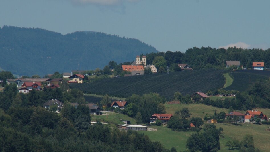 Hiking route panorama path, St. Ruprecht/Raab - Touren-Impression #2.1 | © Oststeiermark Tourismus