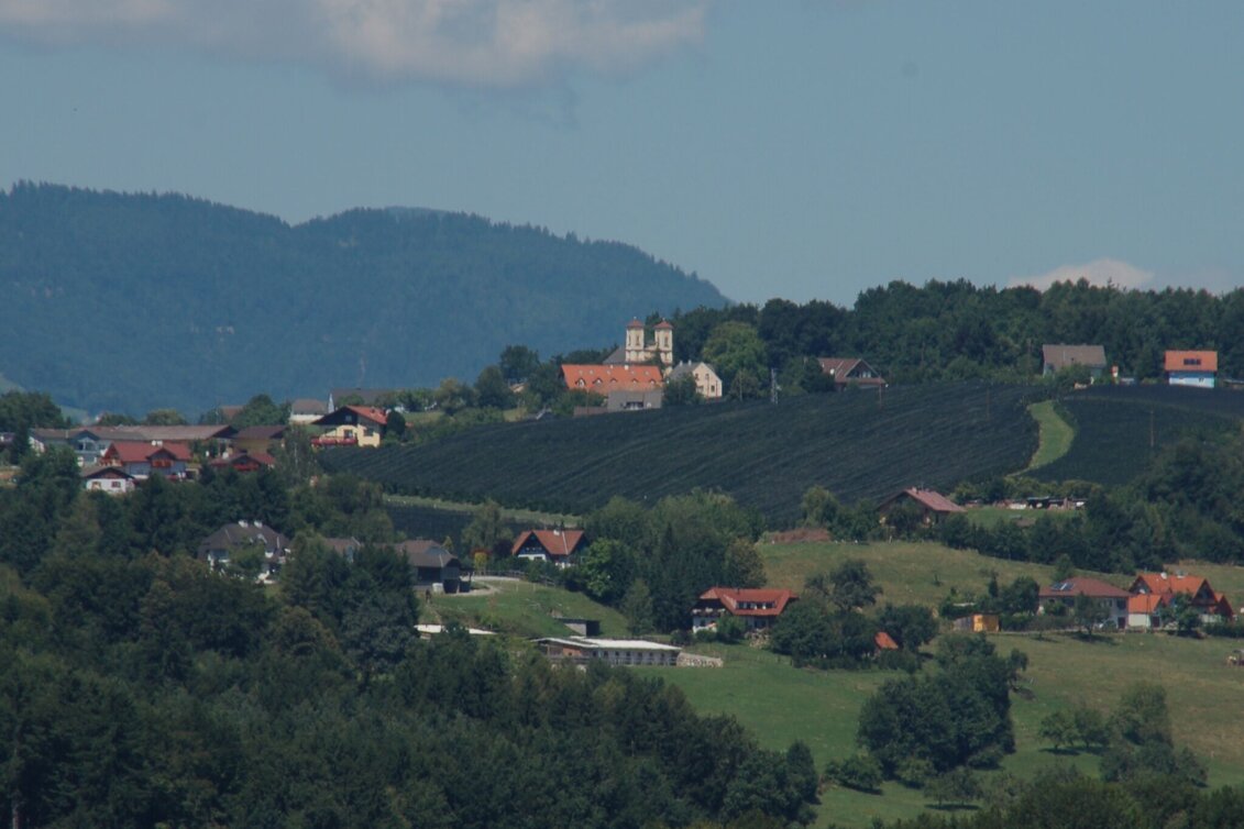 Hiking route panorama path, St. Ruprecht/Raab - Touren-Impression #1 | © Oststeiermark Tourismus