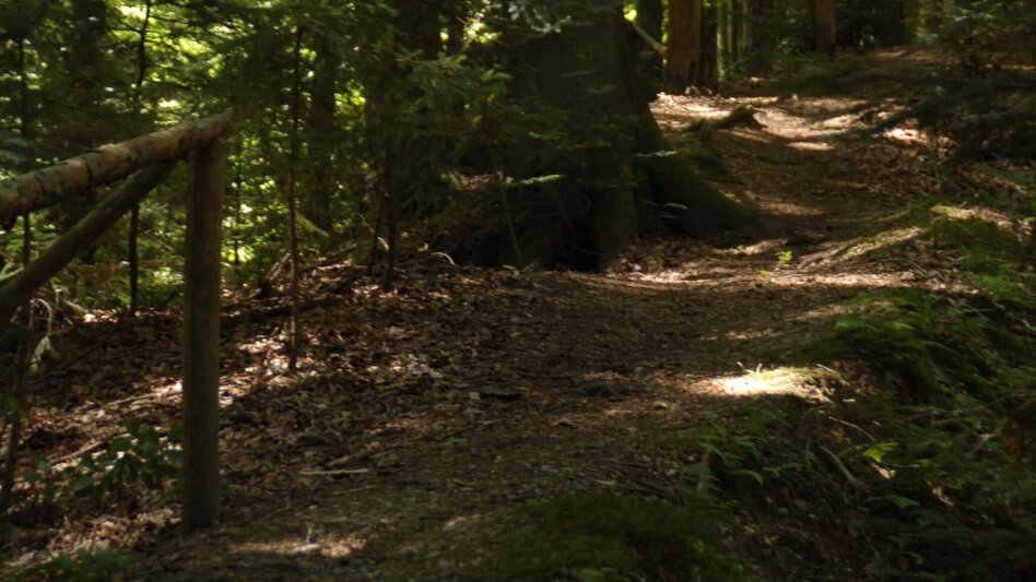 Hiking route panorama path, St. Ruprecht/Raab - Touren-Impression #2.2 | © Oststeiermark Tourismus