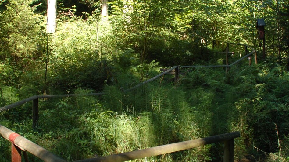 Hiking route panorama path, St. Ruprecht/Raab - Touren-Impression #2.4 | © Oststeiermark Tourismus