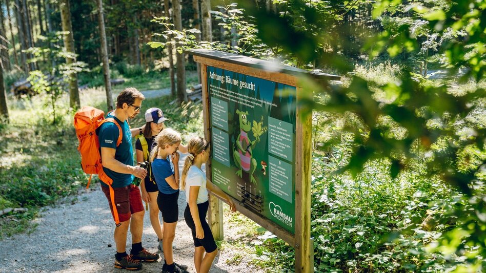 Hiking route Nature and Environment Adventure Trail - Touren-Impression #2.1 | © Erlebnisregion Schladming-Dachstein