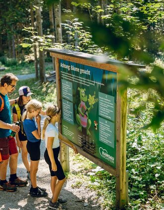 natur- und umwelterlebnispfad_img_76347934 | Christine Höflehner | © Erlebnisregion Schladming-Dachstein