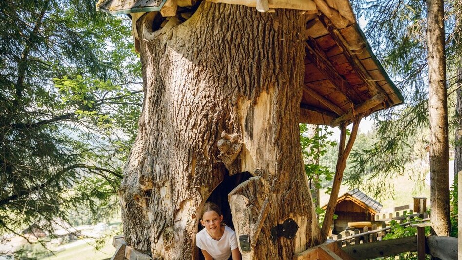 Hiking route Nature and Environment Adventure Trail - Touren-Impression #2.7 | © Erlebnisregion Schladming-Dachstein