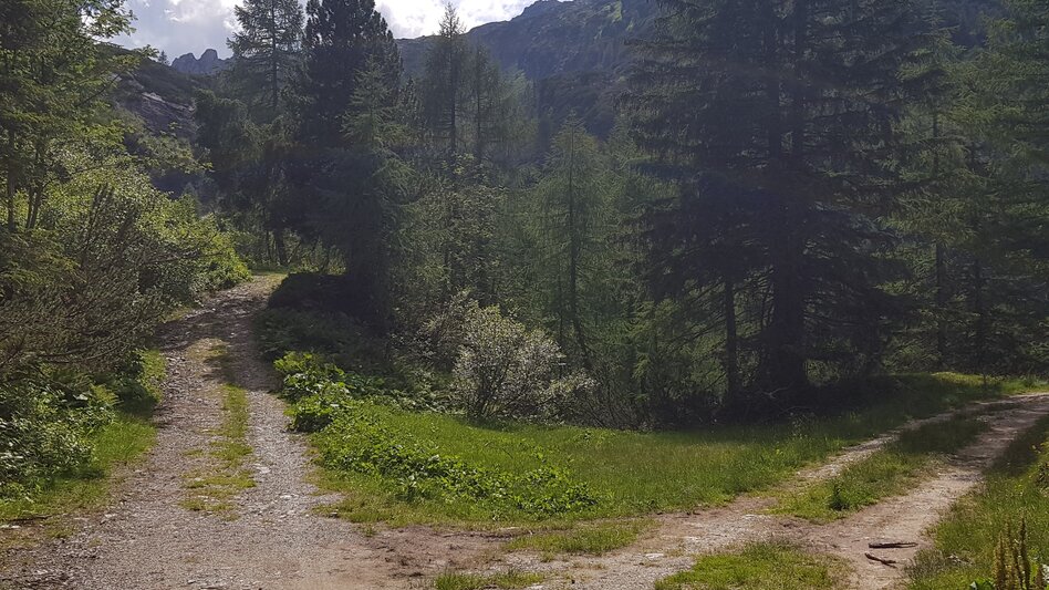 Long-Distance Hiking Your Obertal Mountain Time – a 4-day hiking experience - Touren-Impression #2.8 | © Gerhard Pilz