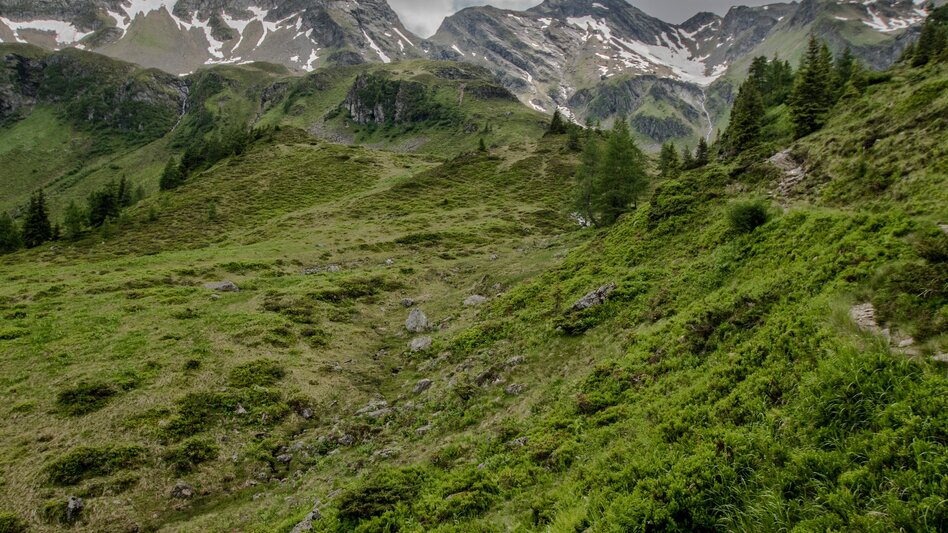 Long-Distance Hiking Your Obertal Mountain Time – a 4-day hiking experience - Touren-Impression #2.28 | © Gerhard Pilz - www.gpic.at