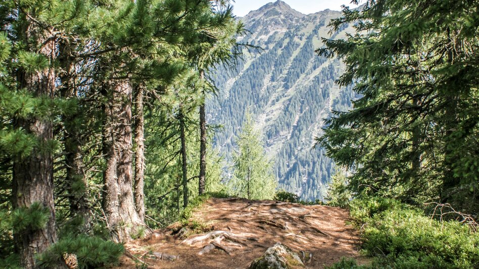 Long-Distance Hiking Your Obertal Mountain Time – a 4-day hiking experience - Touren-Impression #2.31 | © Tourismusverband Schladming