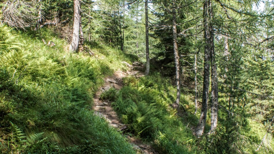 Long-Distance Hiking Your Obertal Mountain Time – a 4-day hiking experience - Touren-Impression #2.32 | © Gerhard Pilz