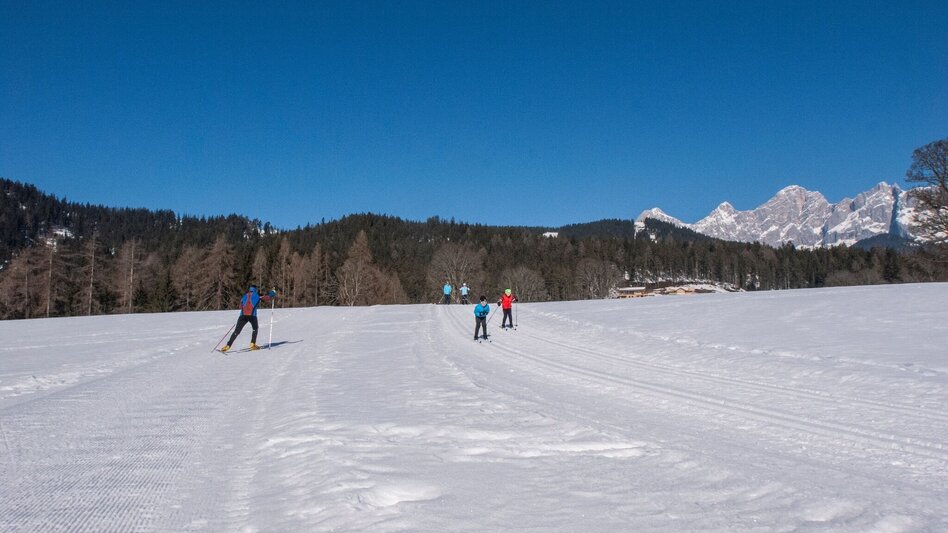 Ski nordic skating Steirer XC Trail Vorberg - Touren-Impression #2.4 | © Erlebnisregion Schladming-Dachstein