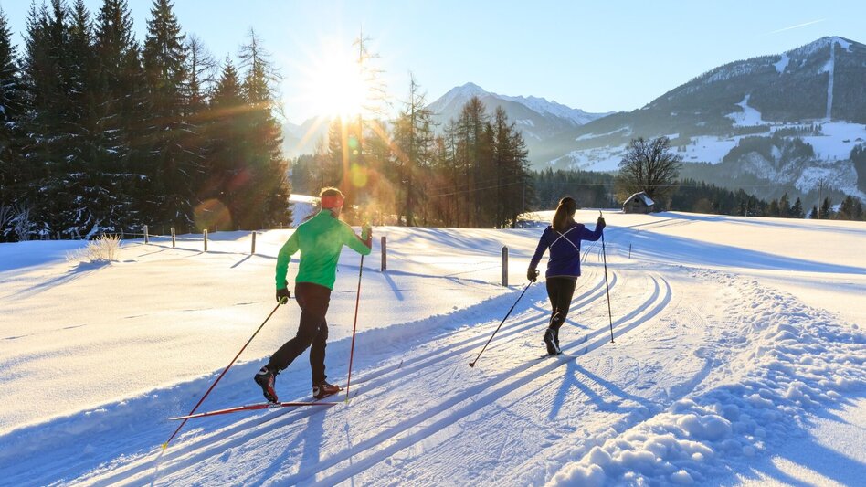 Ski nordic skating Steirer XC Trail Vorberg - Touren-Impression #2.6 | © Erlebnisregion Schladming-Dachstein