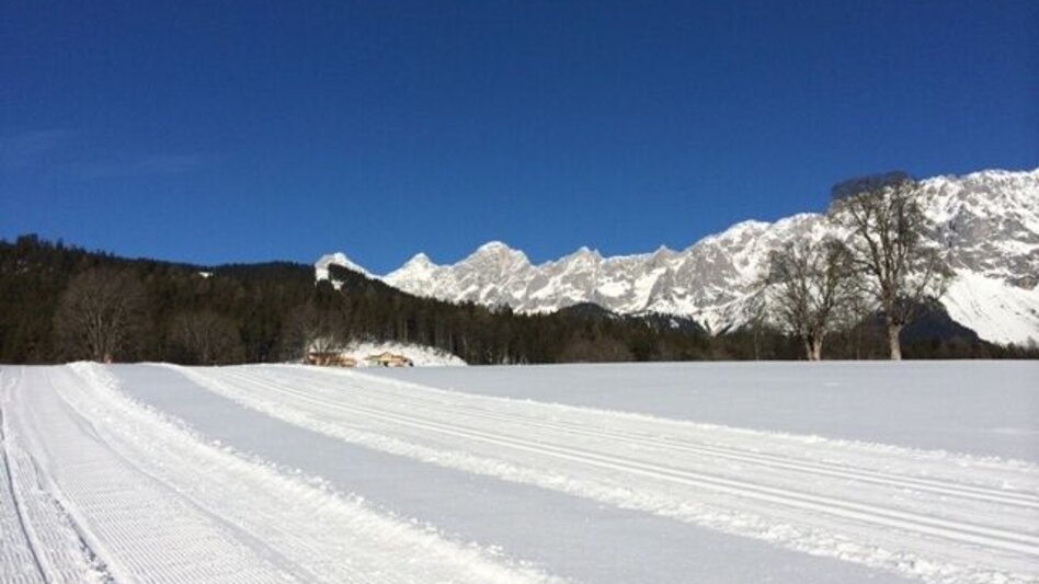 Ski nordic skating Steirer XC Trail Vorberg - Touren-Impression #2.3 | © Erlebnisregion Schladming-Dachstein