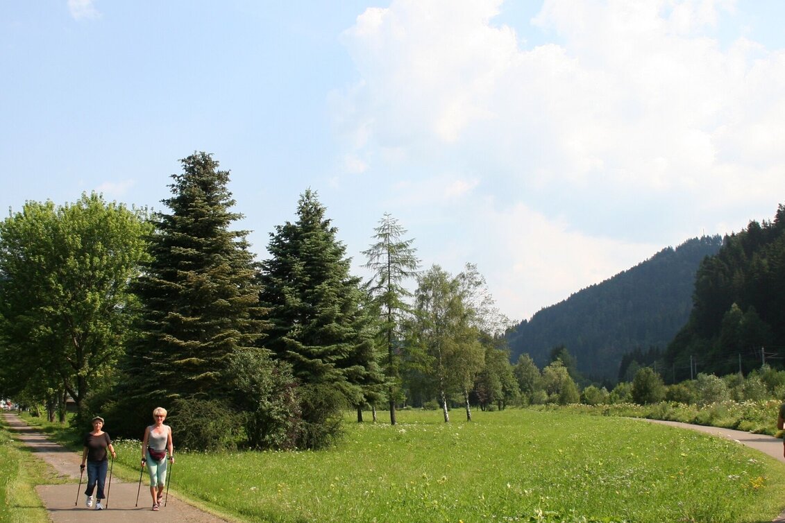 Hiking route To Dürnstein Castle - Touren-Impression #1 | © Tourismusverband Murau