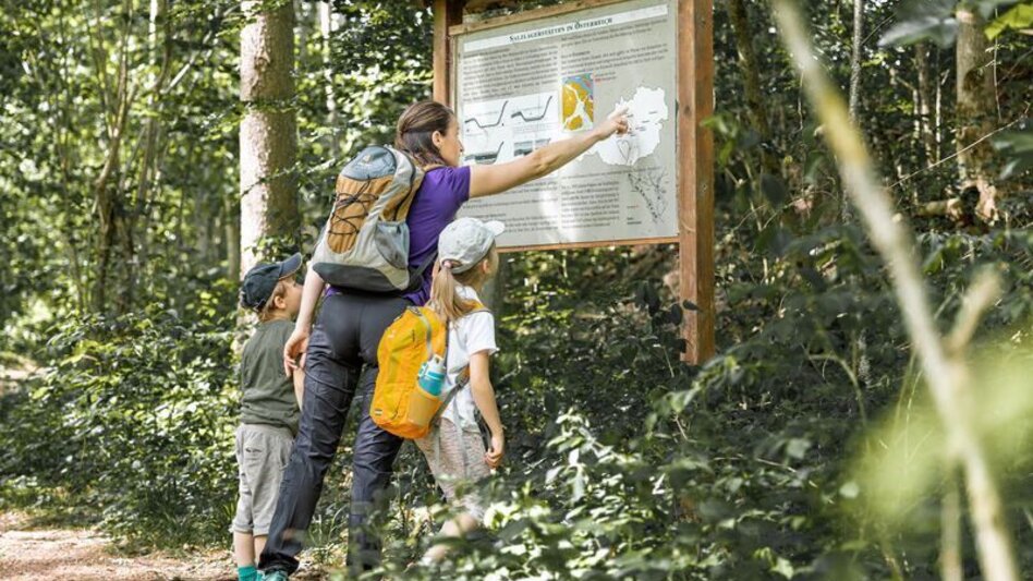 Regional hiking trail Haller salt nature trail - Touren-Impression #2.2 | © TV Gesäuse