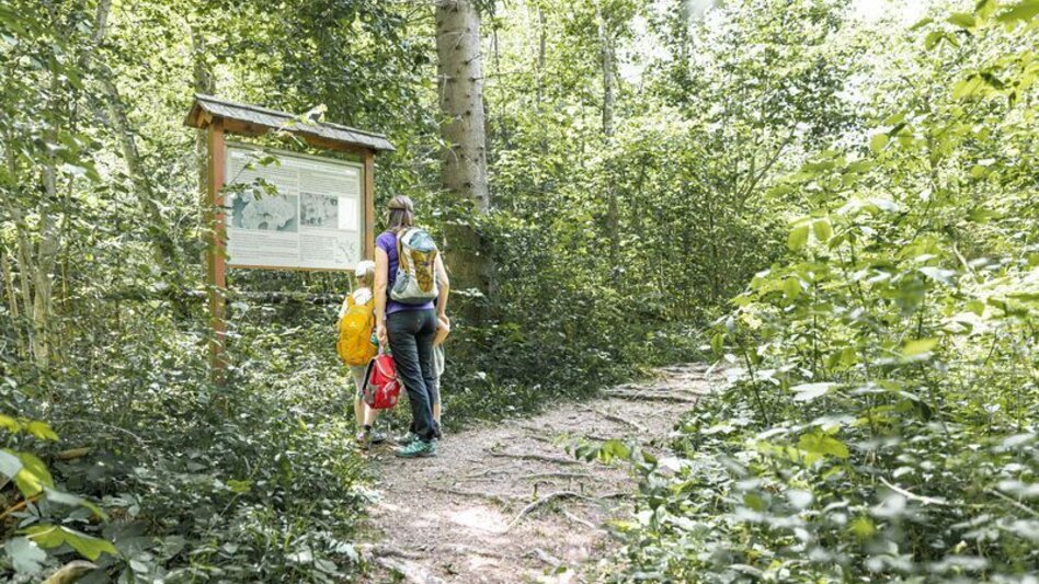 Regional hiking trail Haller salt nature trail - Touren-Impression #2.3 | © TV Gesäuse