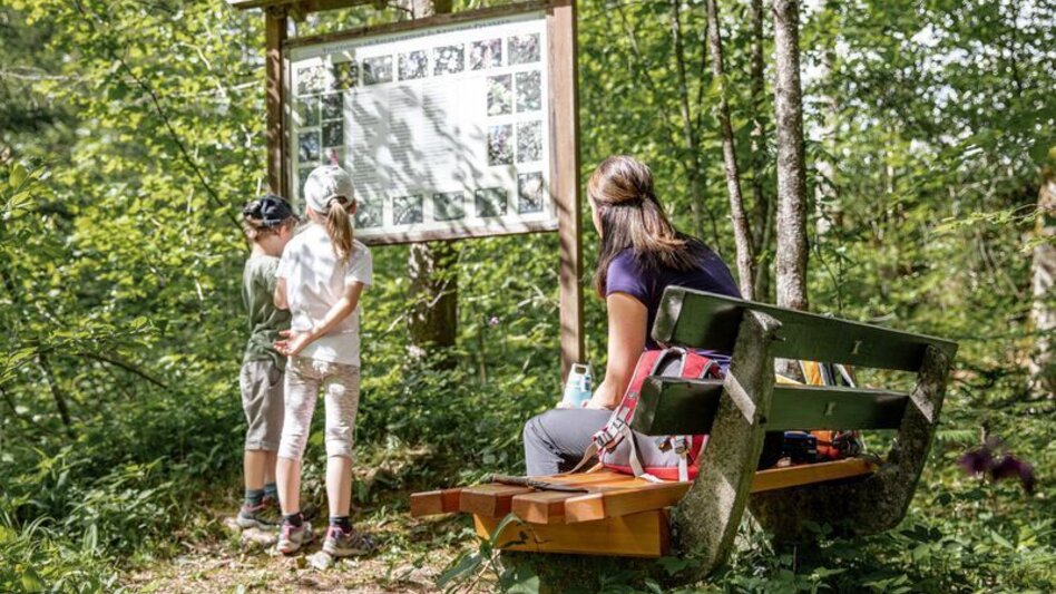Regional hiking trail Haller salt nature trail - Touren-Impression #2.4 | © TV Gesäuse