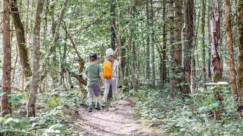 Regional hiking trail Haller salt nature trail - Touren-Impression #2.5 | © TV Gesäuse