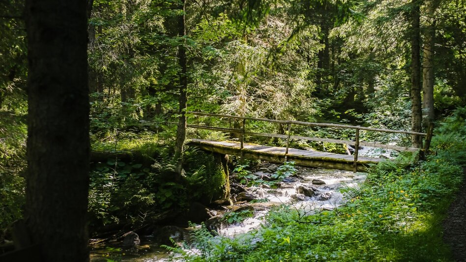 Hiking route To the Lärchkar Alm and Stalla Alm - Touren-Impression #2.1 | © Tourismusverband Grimming-Donnersbachtal