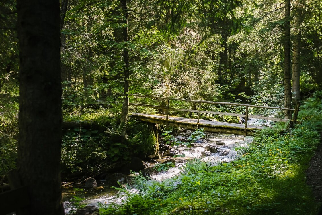 Hiking route To the Lärchkar Alm and Stalla Alm - Touren-Impression #1 | © Tourismusverband Grimming-Donnersbachtal