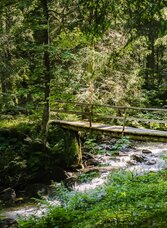Brücke am Weg zur Lärchkaralm. | © Tourismusverband Grimming-Donnersbachtal | Roland Gutwenger | © Tourismusverband Grimming-Donnersbachtal