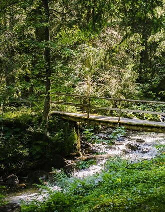 Brücke am Weg zur Lärchkaralm. | Roland Gutwenger | © Tourismusverband Grimming-Donnersbachtal