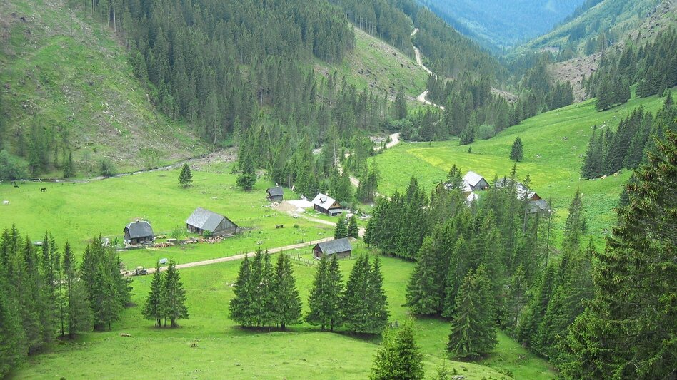 Hiking route To the Lärchkar Alm and Stalla Alm - Touren-Impression #2.3 | © Erlebnisregion Schladming-Dachstein
