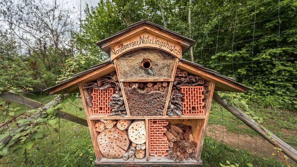 Hiking route Voitsberger Gesundheitsweg 4 - Touren-Impression #2.7 | © Stadtgemeinde Voitsberg